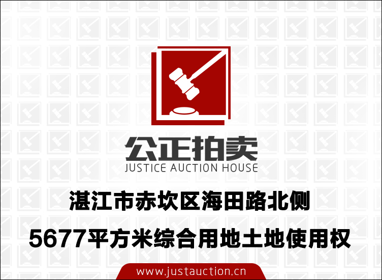 湛江市赤坎区海田路北侧5677平方米综合用地土地使用权